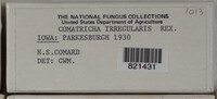 Image Associated With the Occurence